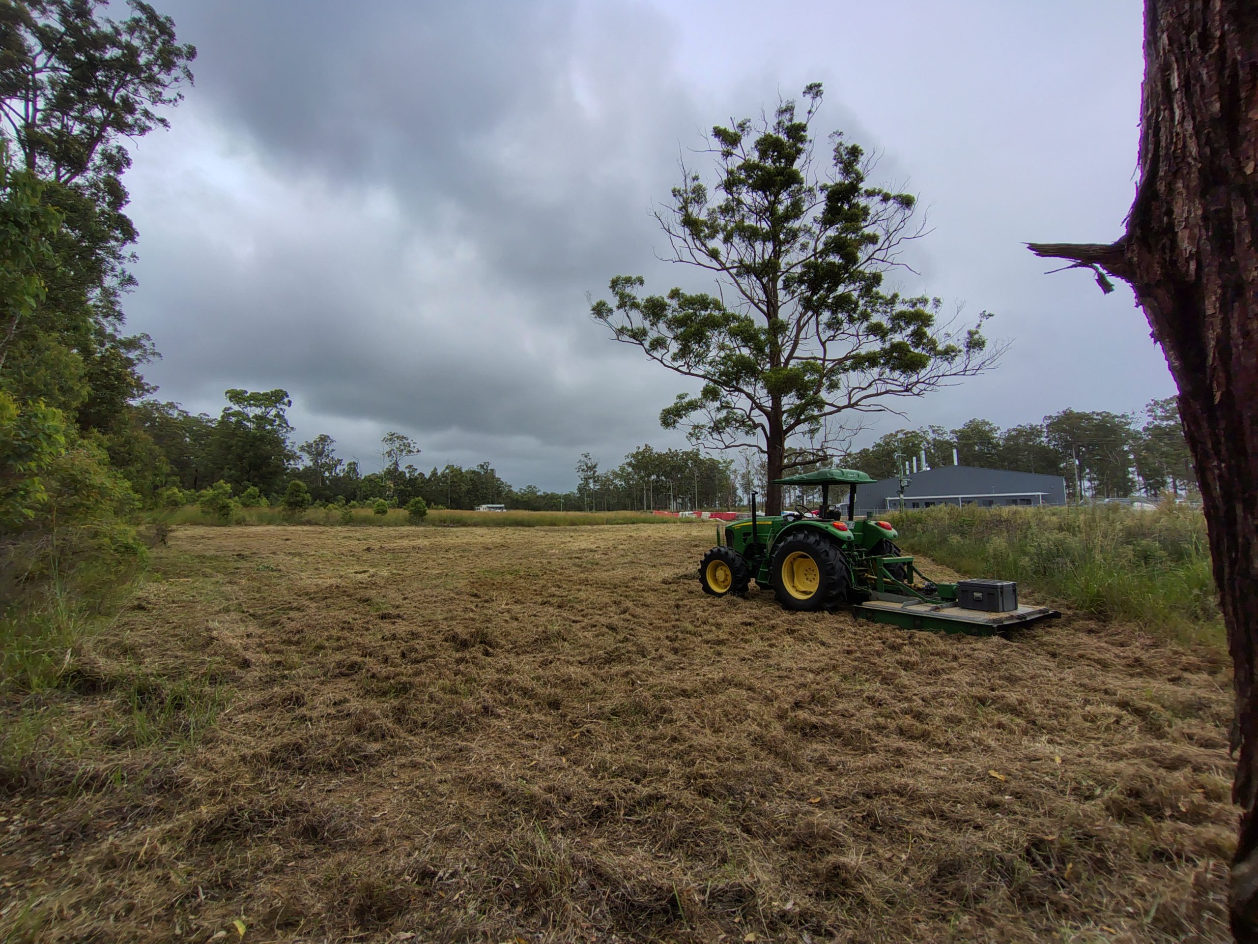 A green tractor with yellow wheels mows a grassy field under a cloudy sky, surrounded by trees. A single tree stands near the tractor, and a building is visible in the background.