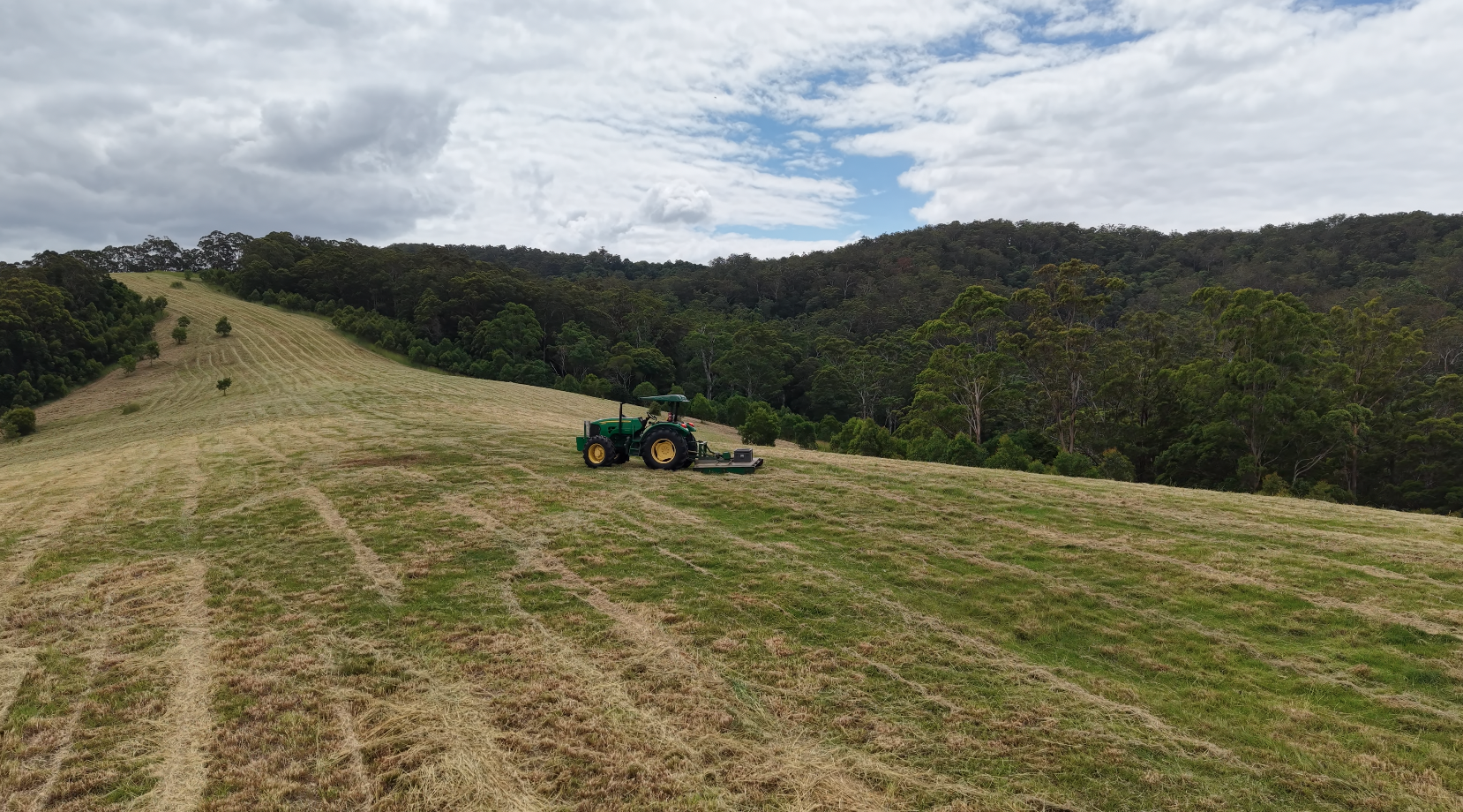 A green tractor is mowing a large, grassy field on a hillside, surrounded by dense trees—a perfect example of paddock slashing Mid Coast NSW for rural property maintenance.