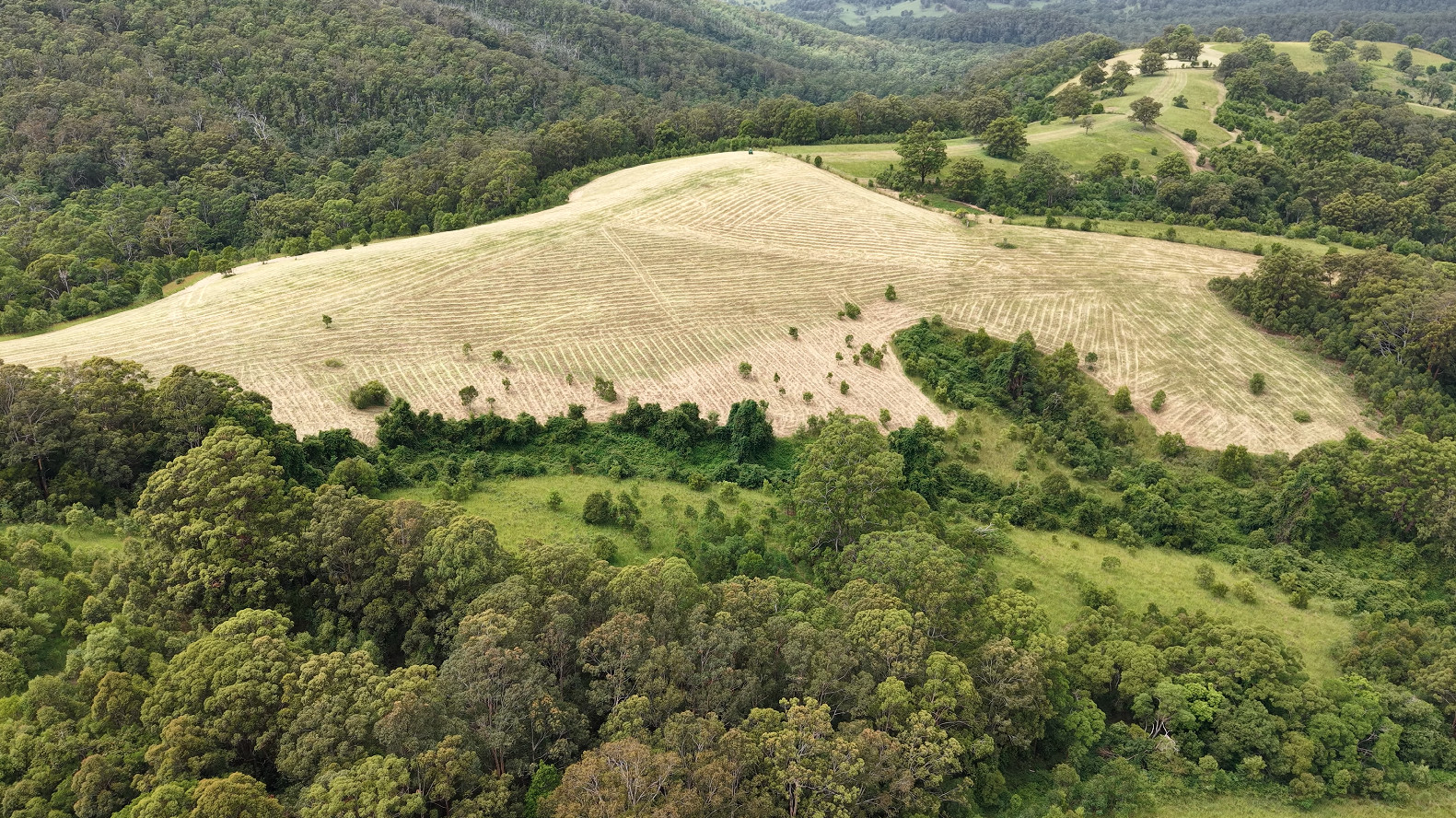Aerial view of a rural landscape with a harvested field surrounded by dense green forests and rolling hills under a cloudy sky.