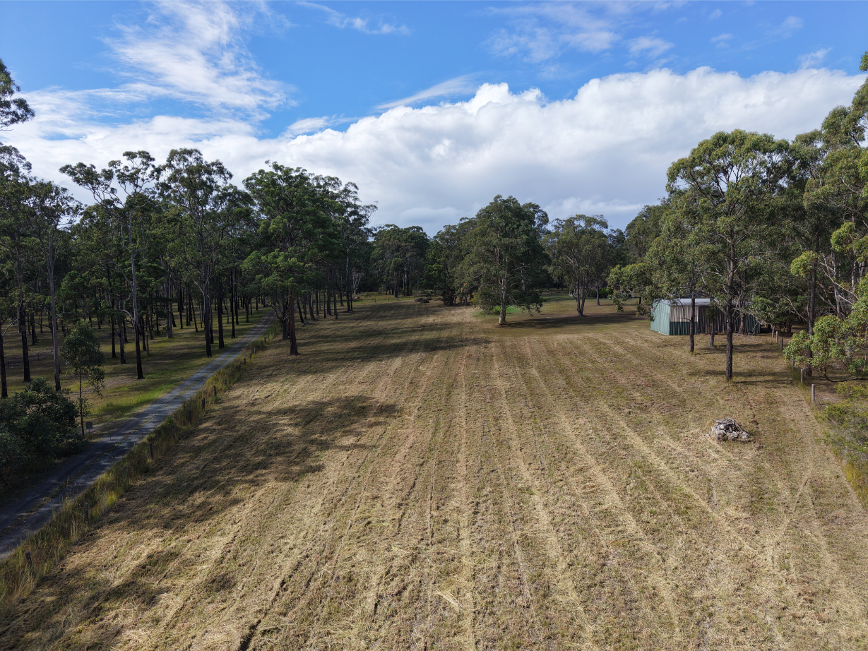 Service area landscape featuring a field bordered by trees under a blue sky with clouds, showcasing available land.