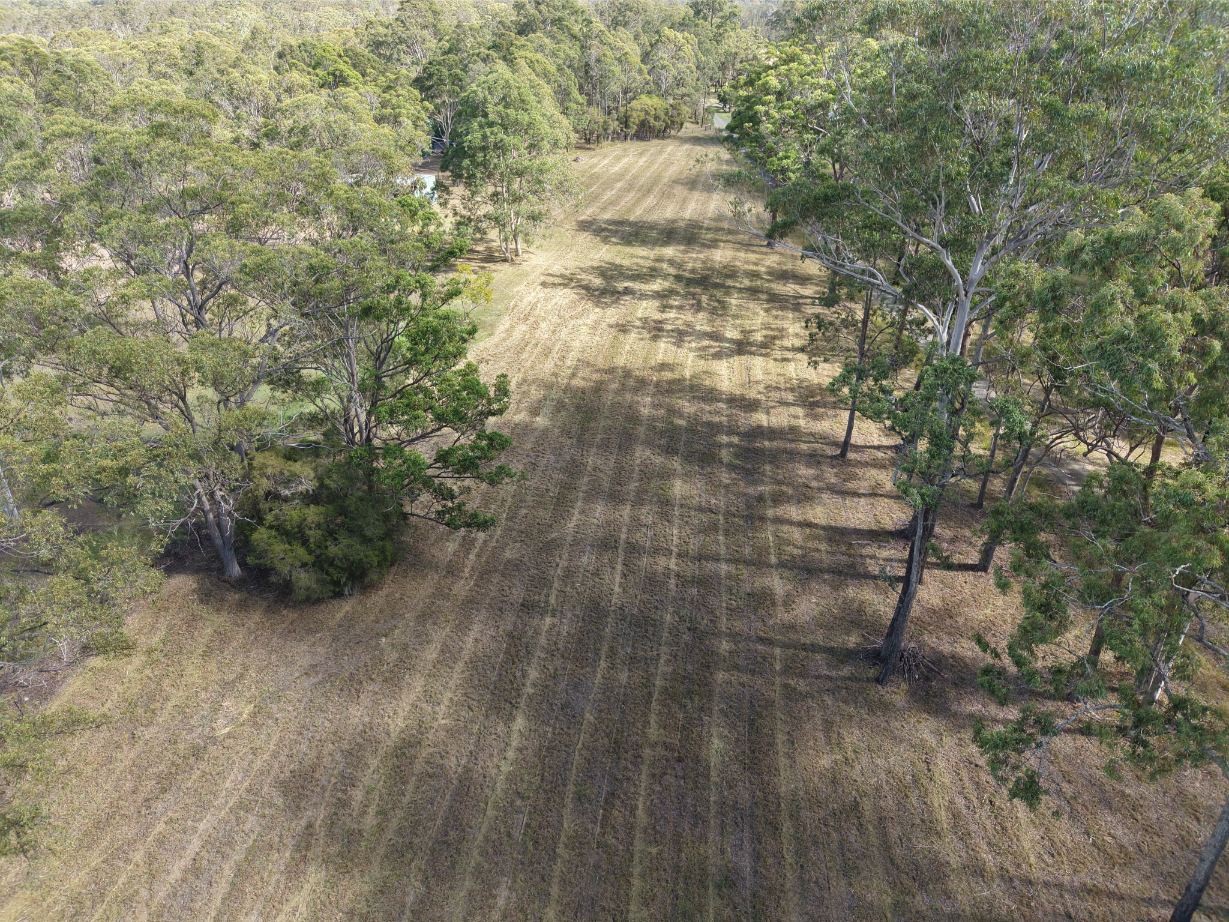 Service area showing an aerial view of a grassy field with trees; land clearing and site preparation services.